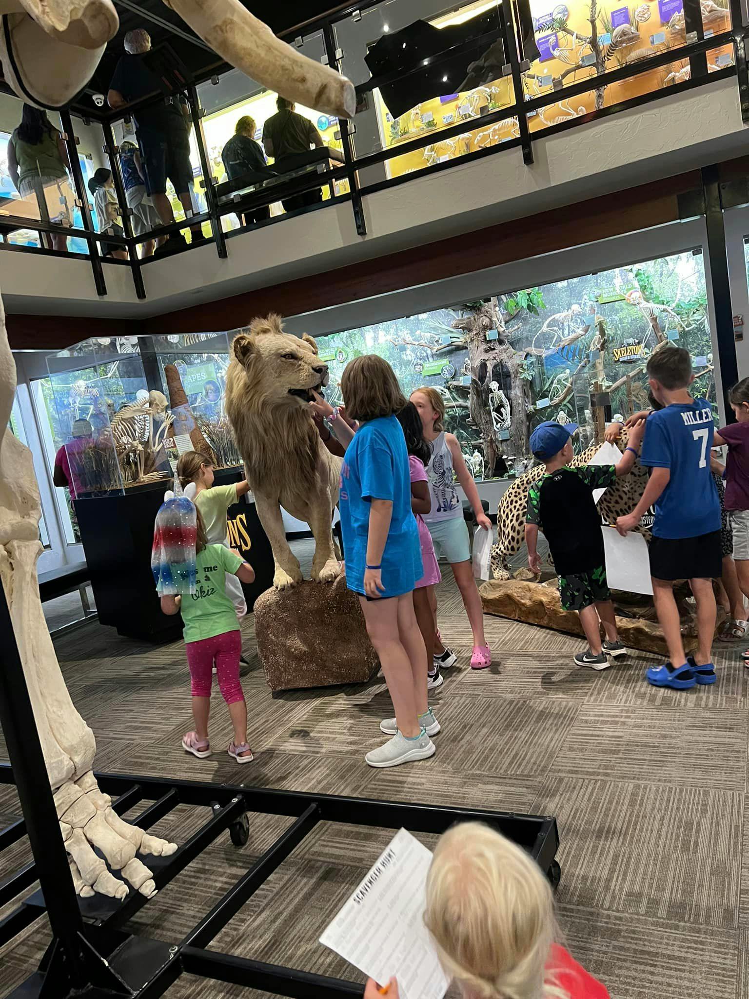 Children looking at a lion taxidermy display in a museum
