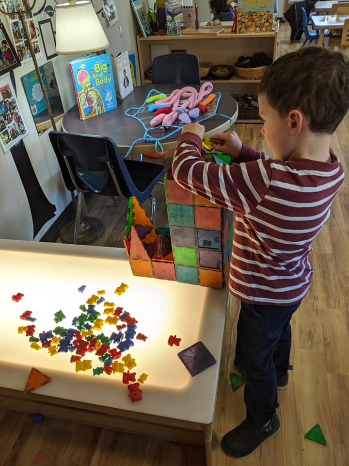 Child playing with colorful blocks and small bear-shaped counters