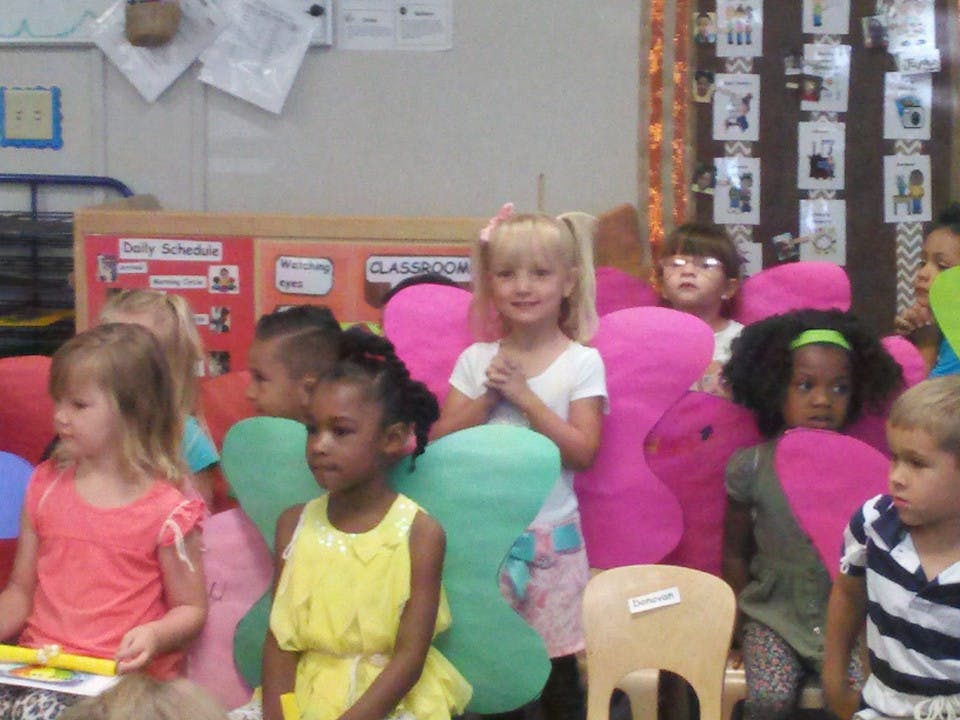 Children in a classroom, some with large pink and green butterfly wings
