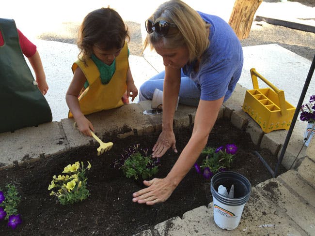 Person and child planting flowers in a garden bed