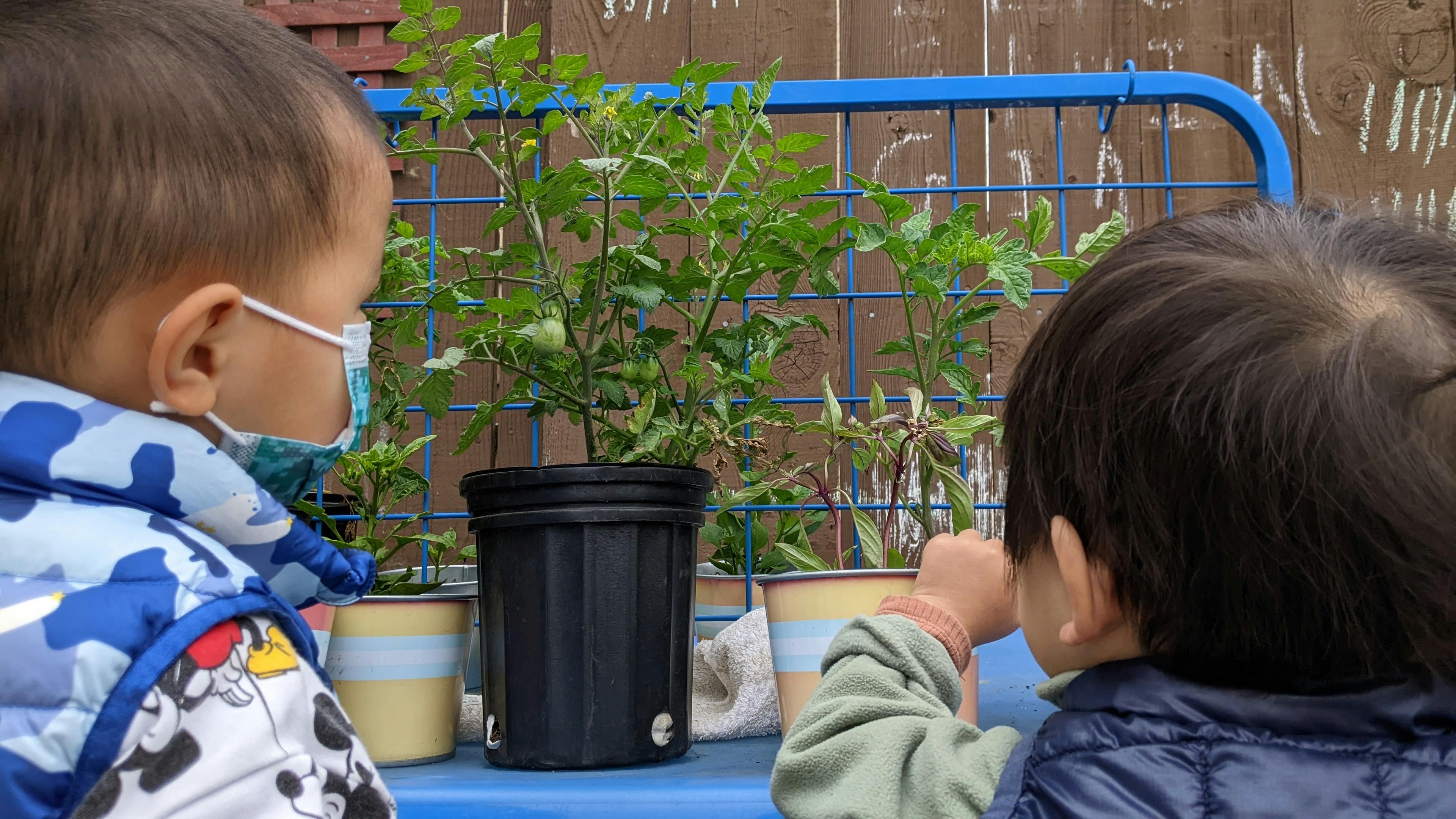 Two children looking at plants in pots