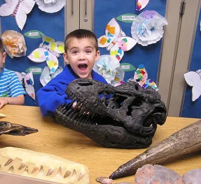 Child with open mouth behind a dinosaur skull model in a classroom