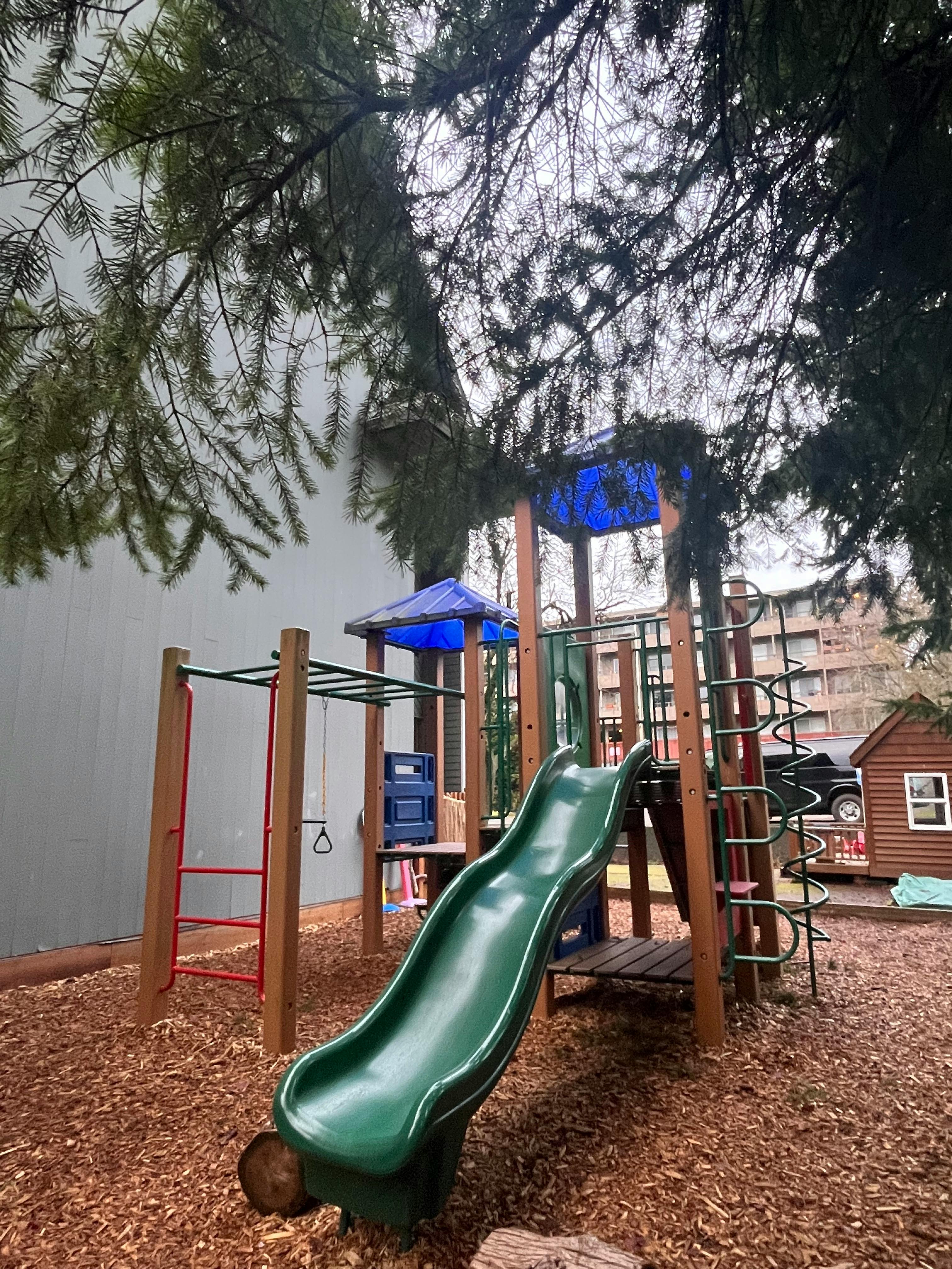 Playground with a green slide, monkey bars, and climbing ladder