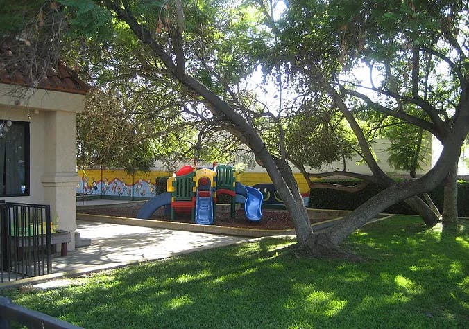 Playground with colorful slides and climbing structures under trees