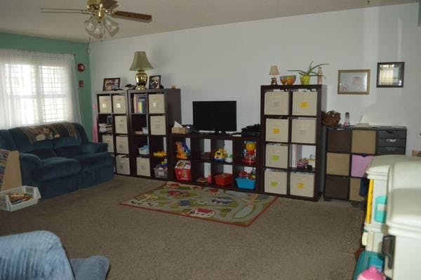 Living room with a sofa, TV, and storage shelves