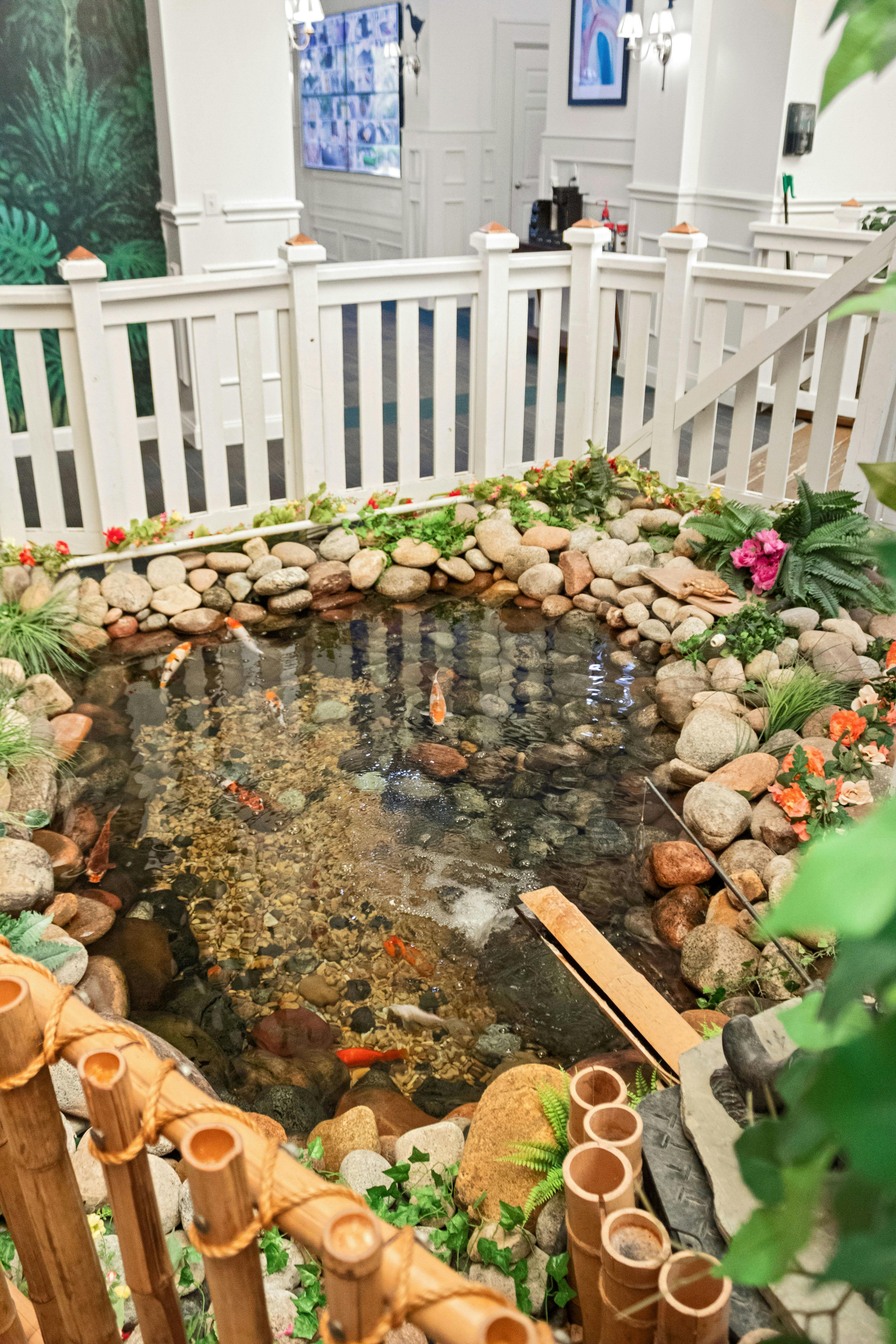 An indoor rock garden with a small pond containing koi fish
