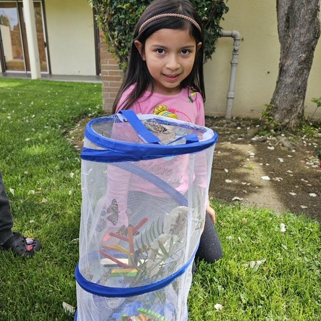 Child holding a mesh butterfly habitat