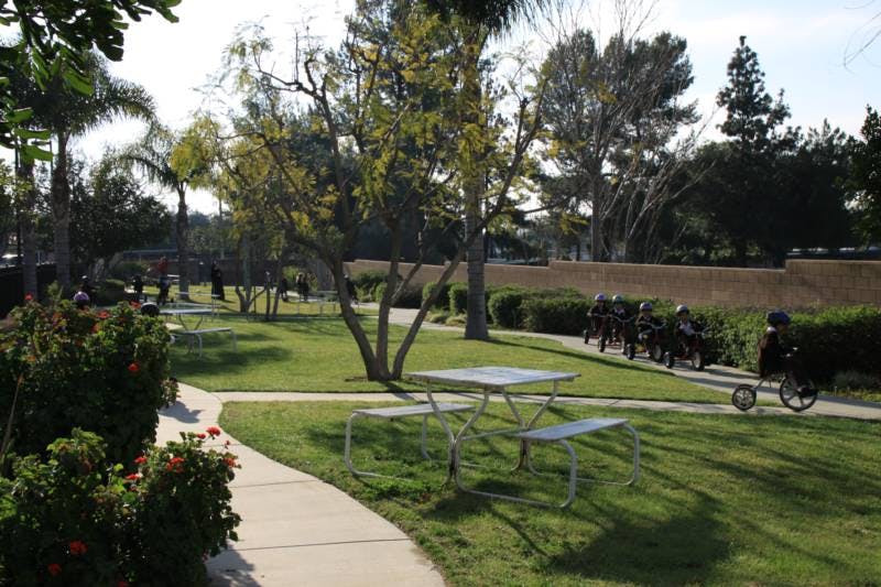 People riding bicycles on a paved path in a park