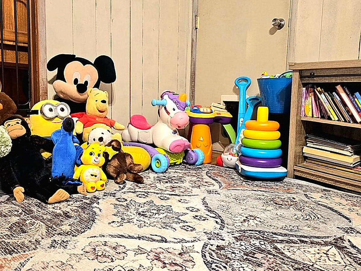 Collection of plush toys and plastic play equipment in a room