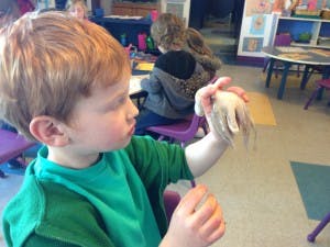 Child holding a small object in a classroom