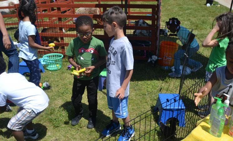 Two children holding small yellow objects in a grassy area