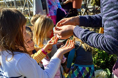Person giving small items to children