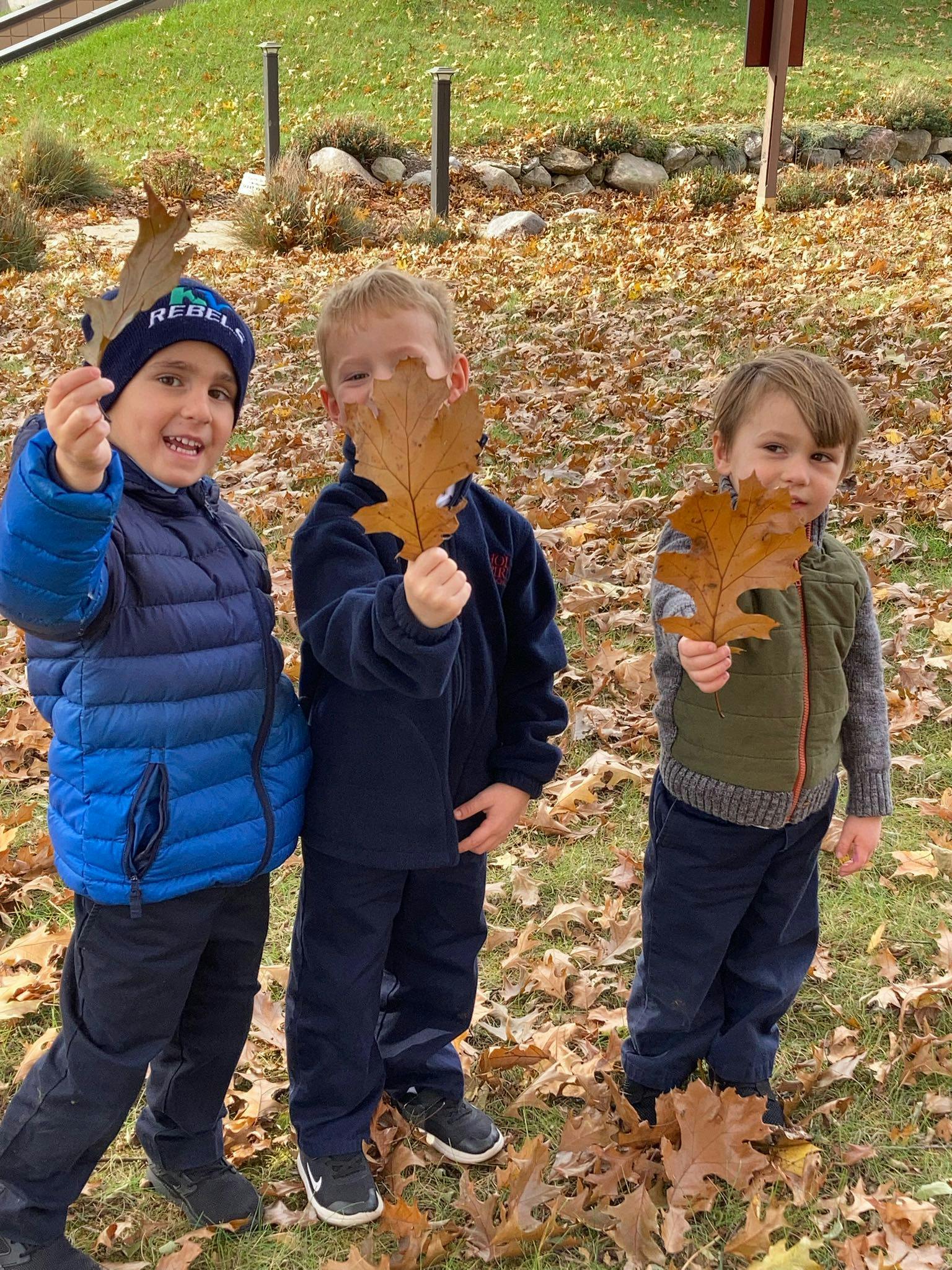 Three children holding up autumn leaves
