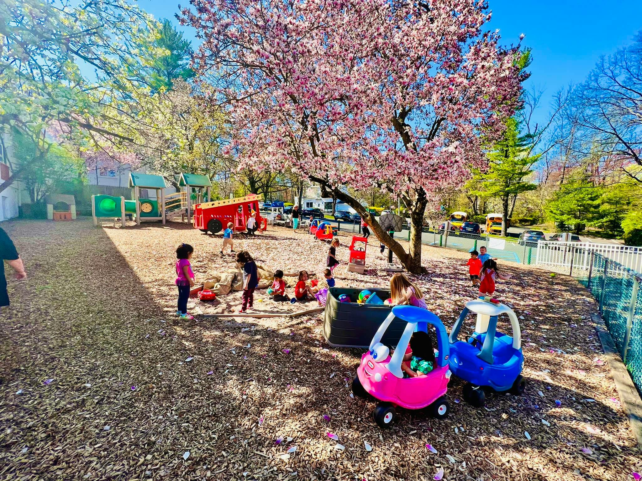 Children playing on a playground under a blooming tree