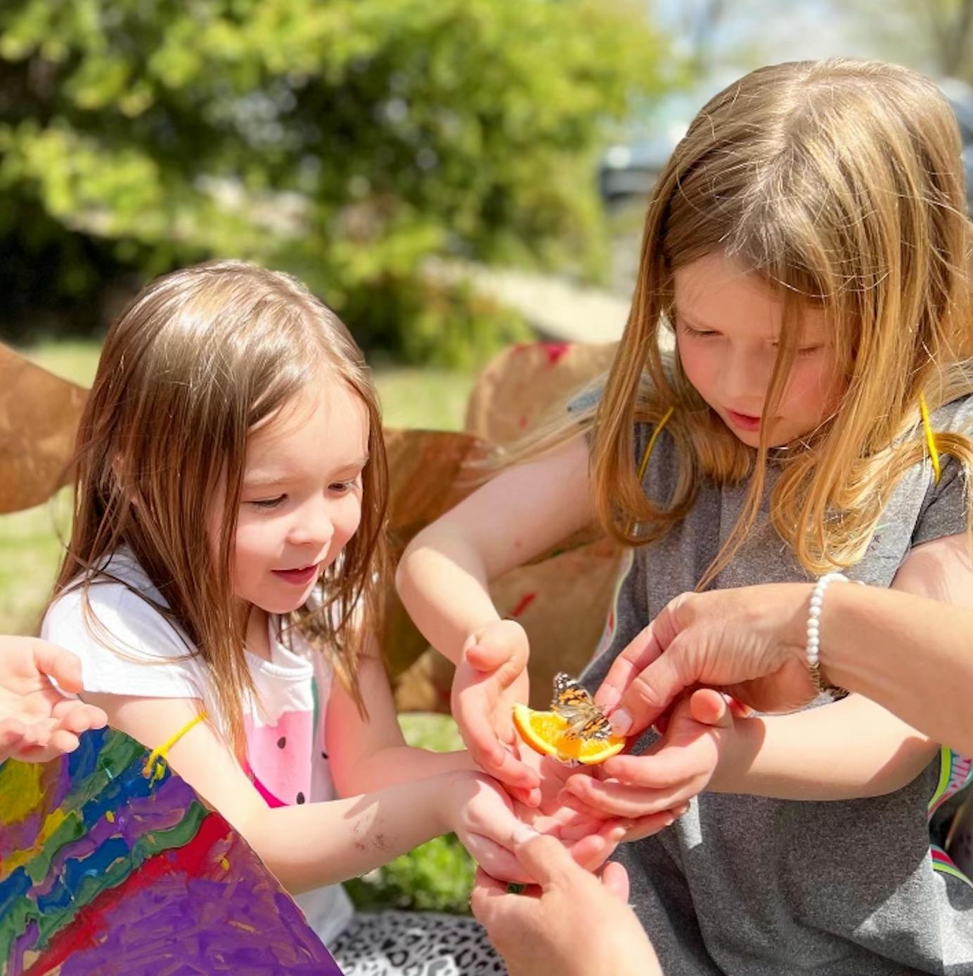 Two children observing a butterfly on an orange slice held by an adult