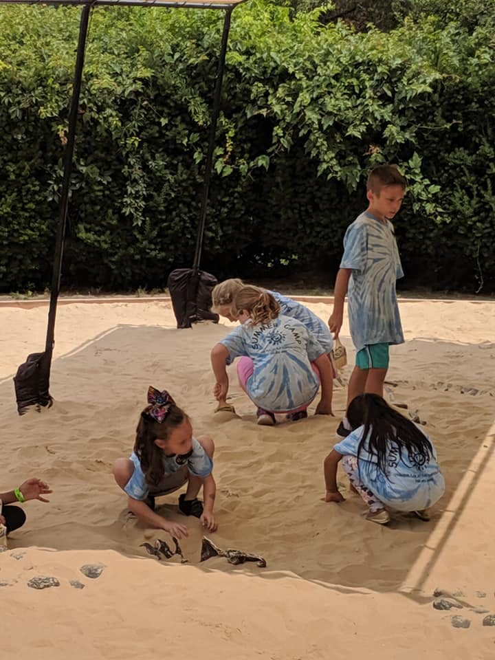 Children playing in a large sandbox