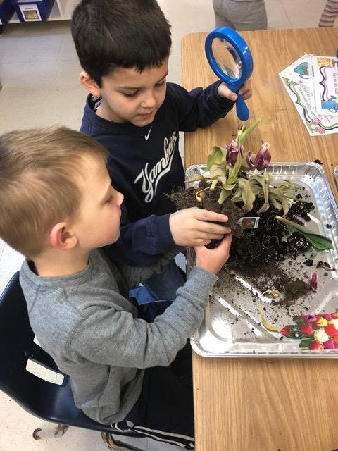 Two children examining a plant with a magnifying glass