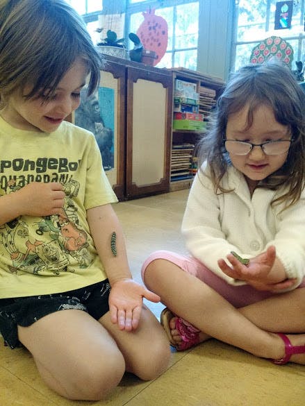 Two children on the floor looking at caterpillars on their arms and each other's arms
