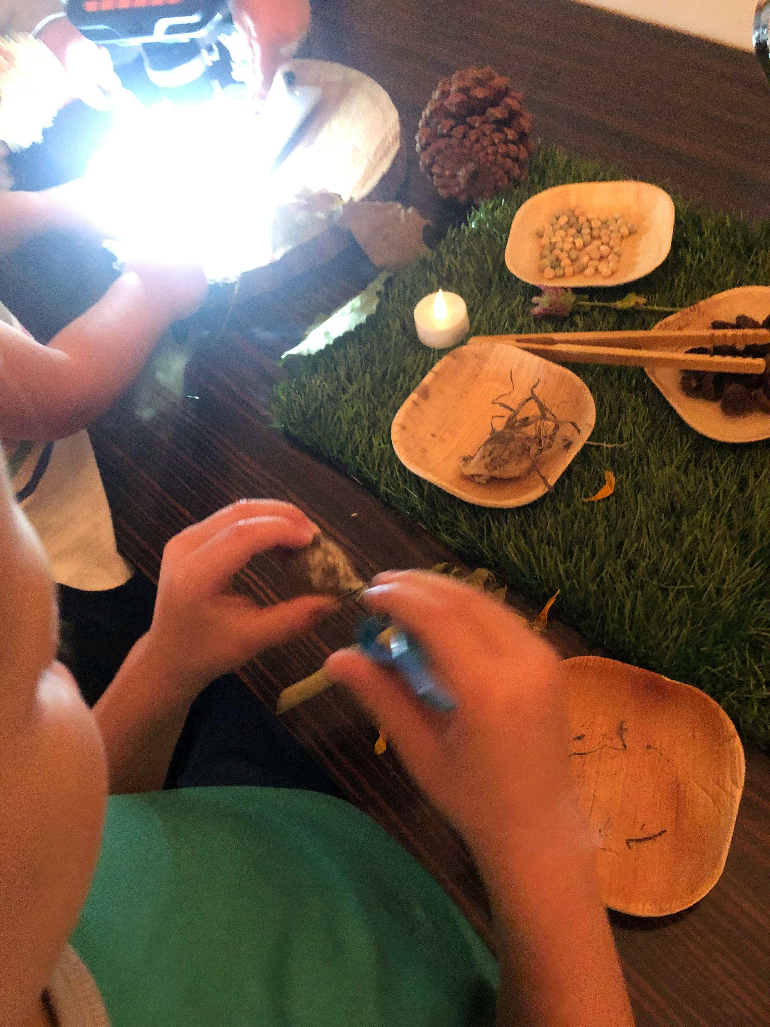 Child holding a small object with a tool, with natural elements on a table