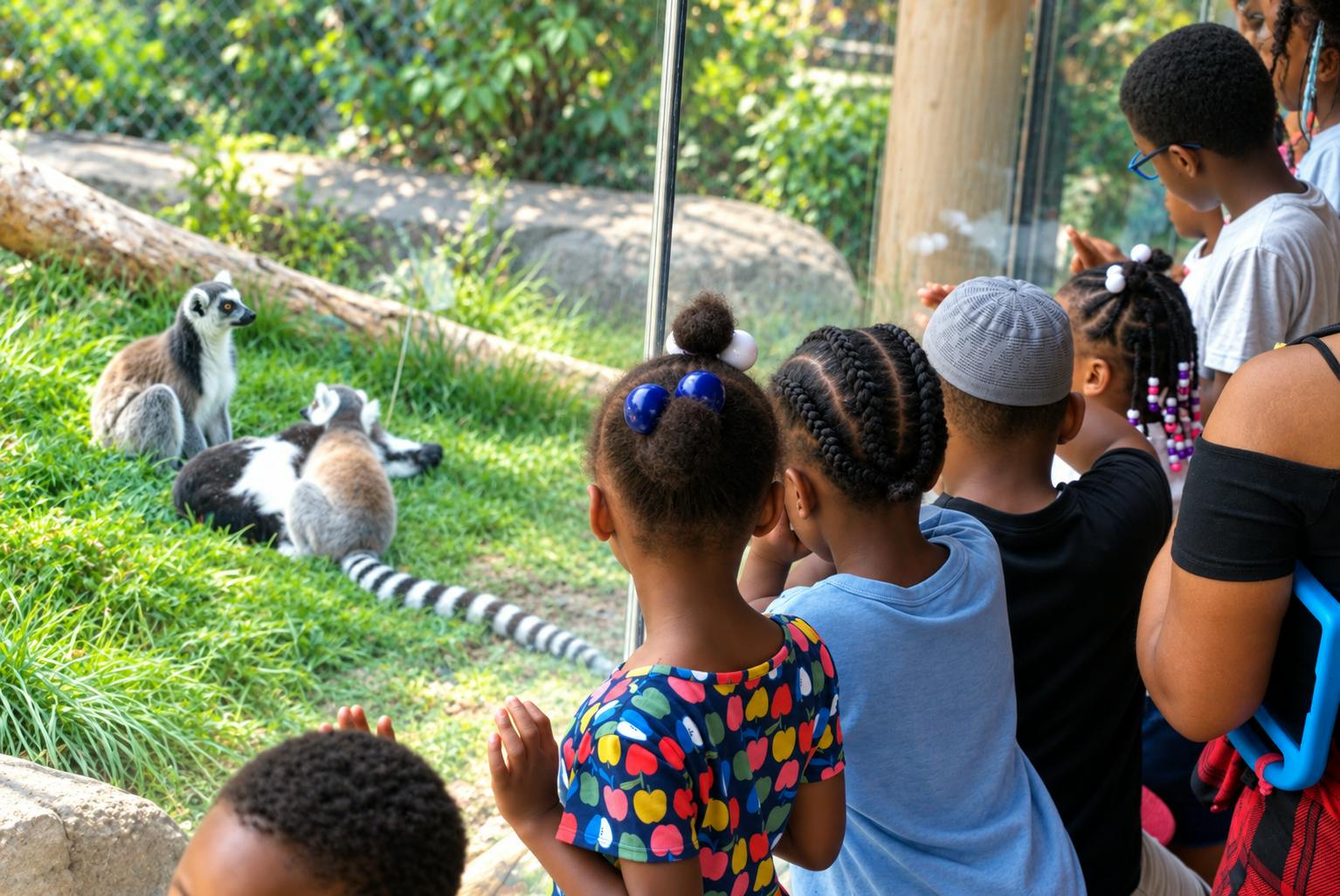 Group of children observing ring-tailed lemurs at a zoo exhibit
