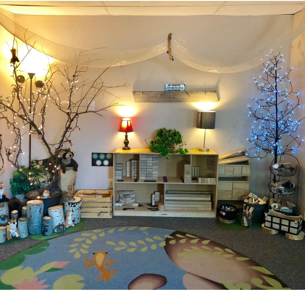 Room with a rug, shelves, and decorative trees with lights