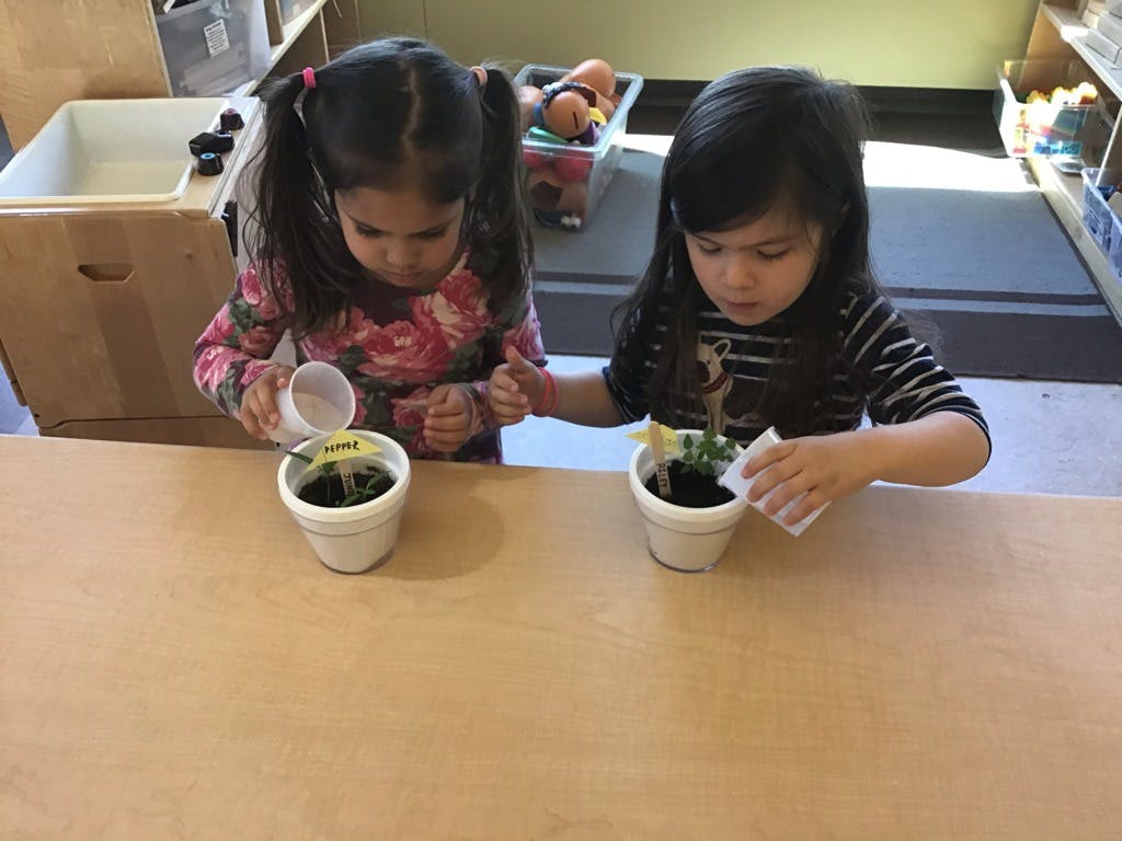 Two children watering plants in small pots
