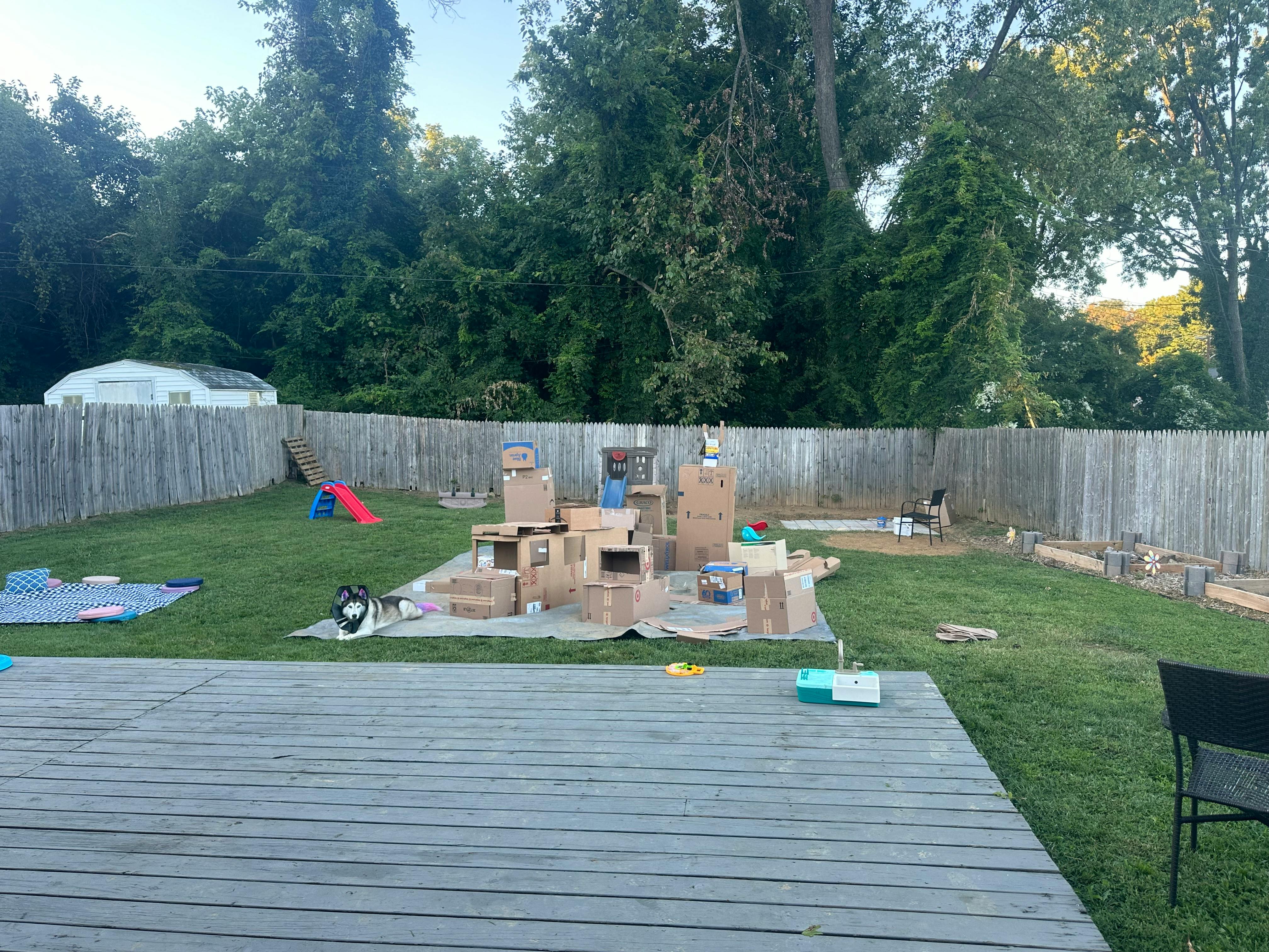 Cardboard box fort in a grassy backyard