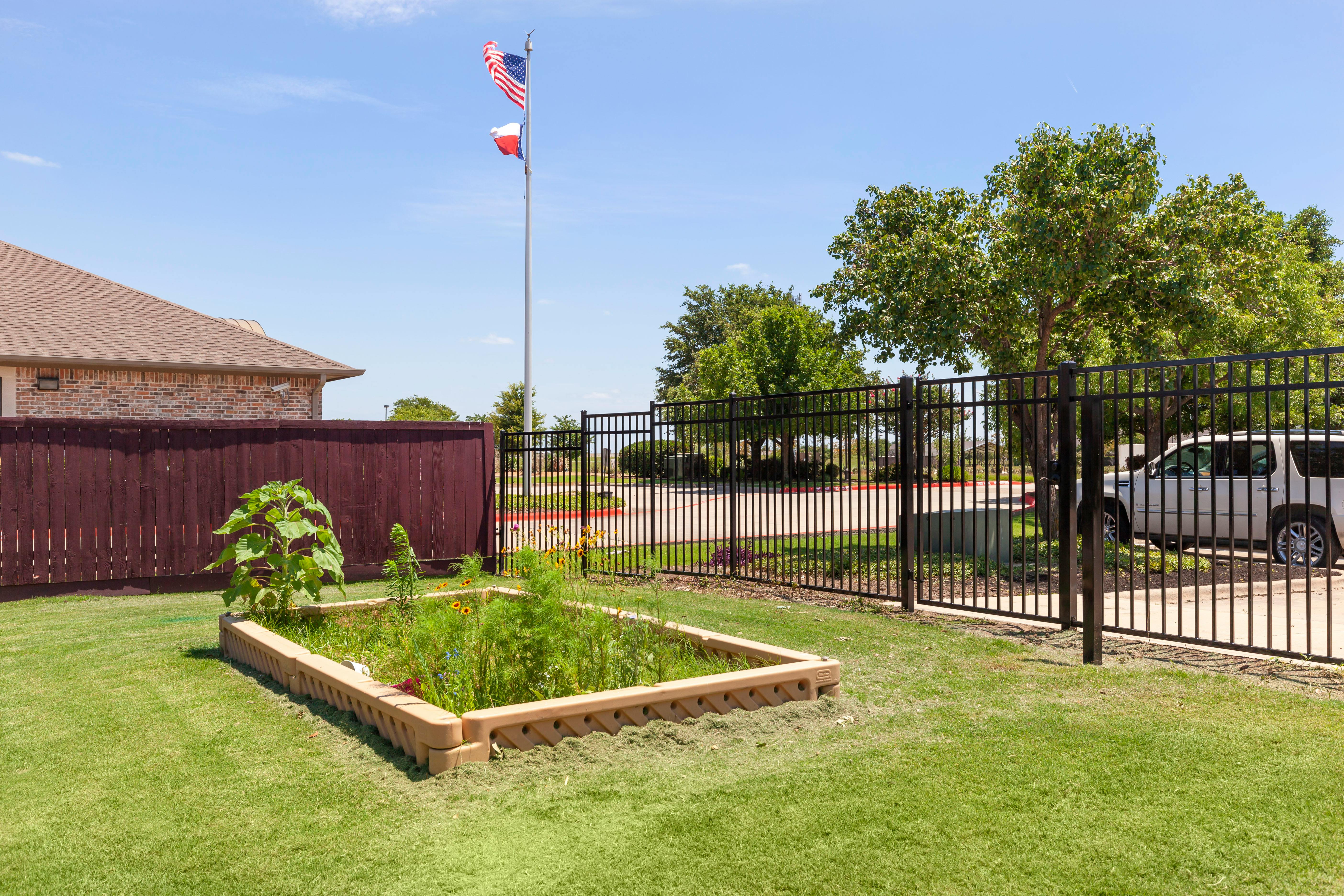 Raised garden bed with flowers and grass surrounded by a fence and building