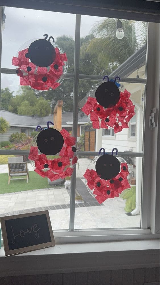 Four ladybug crafts made from paper plates, red tissue paper, and black construction paper