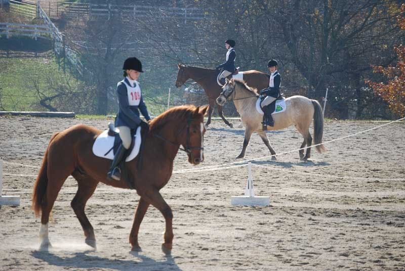 People riding horses in an arena