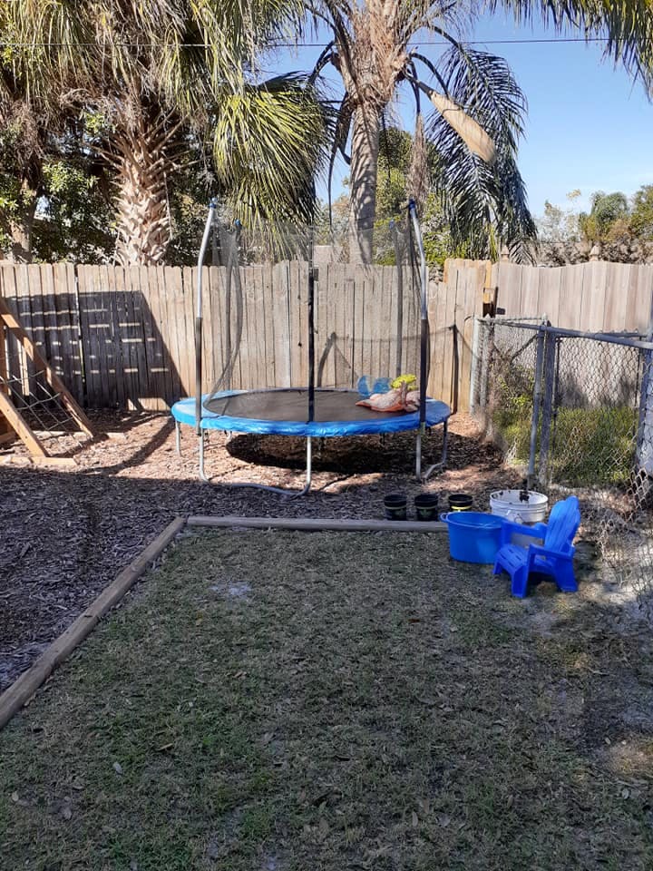 Steinmetz Family Day Care Home Daycare in Melbourne, FL Winnie