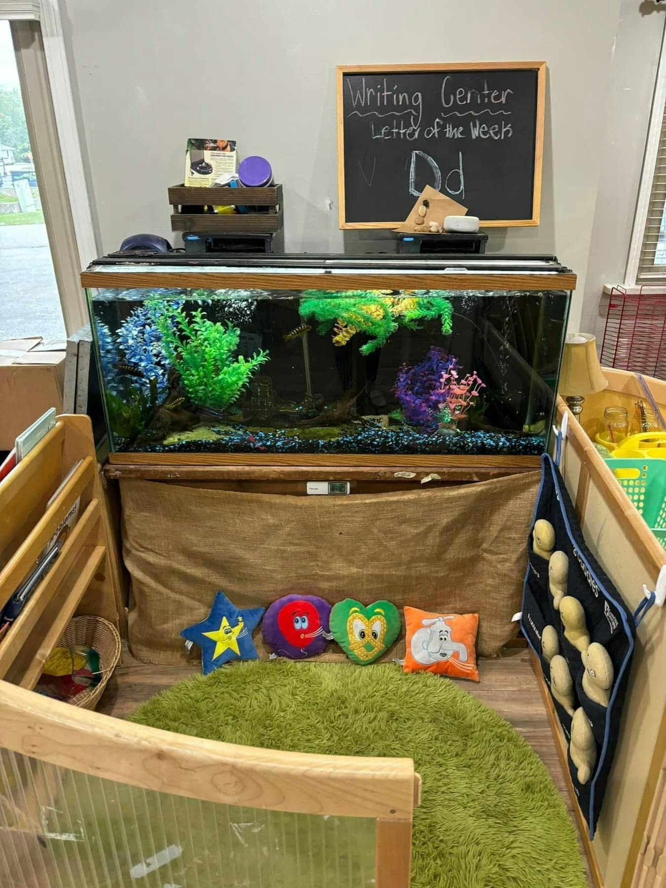 Aquarium with artificial plants above a green rug and colorful pillows