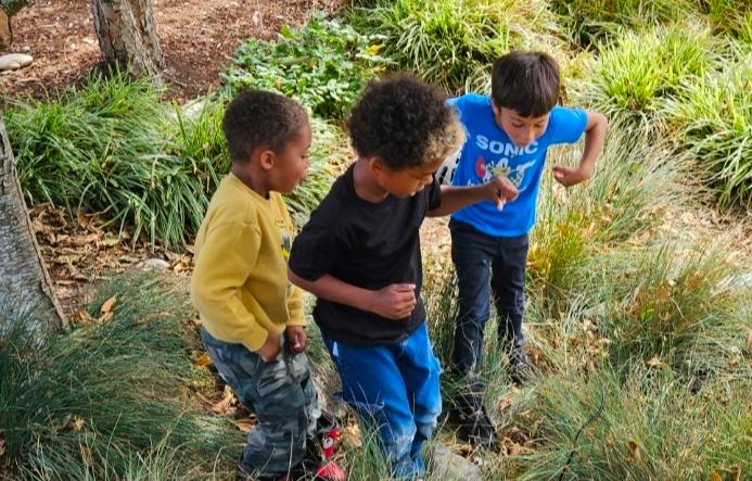 Three children standing in tall grass in a park
