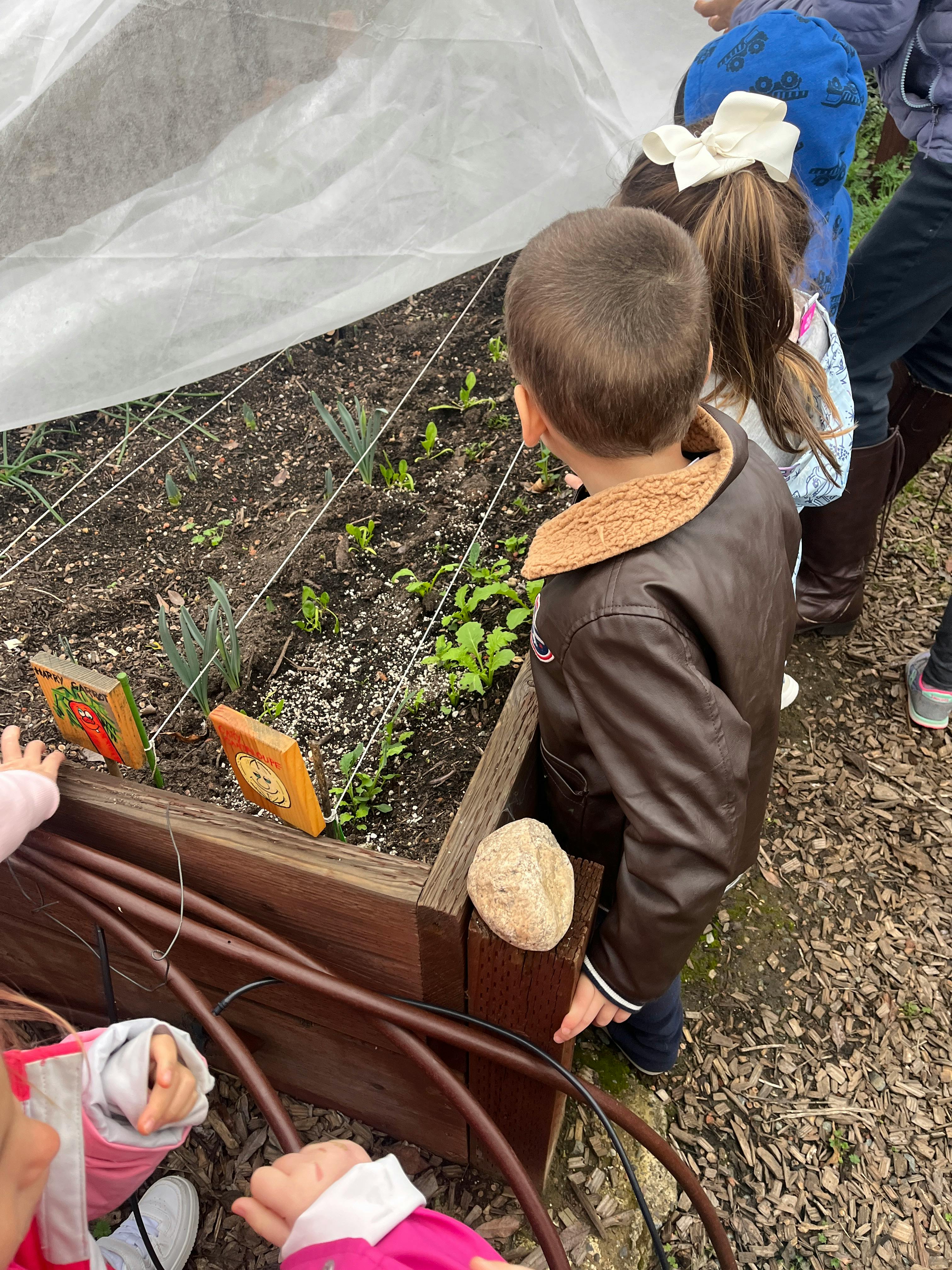 Children looking at plants in a raised garden bed with a protective cover