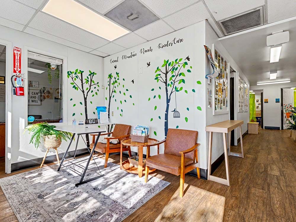 Reception area in a childcare center with tree and leaf decals on the wall