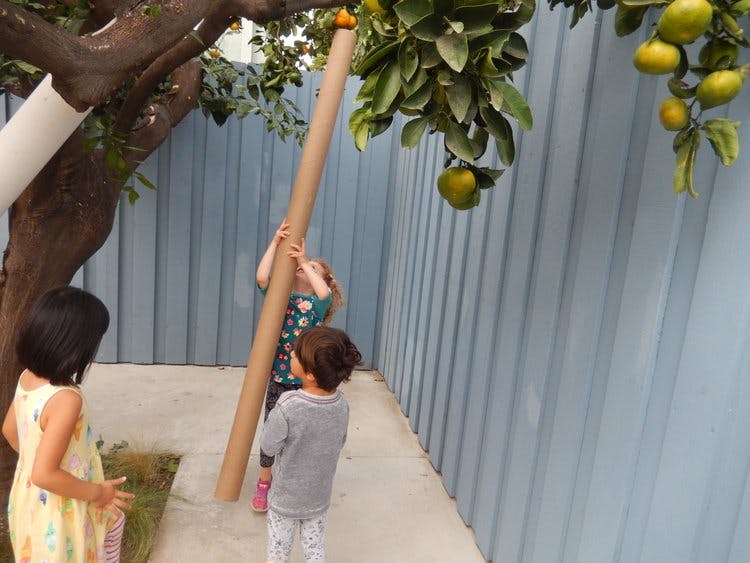 Three children playing with a long cardboard tube under a tree