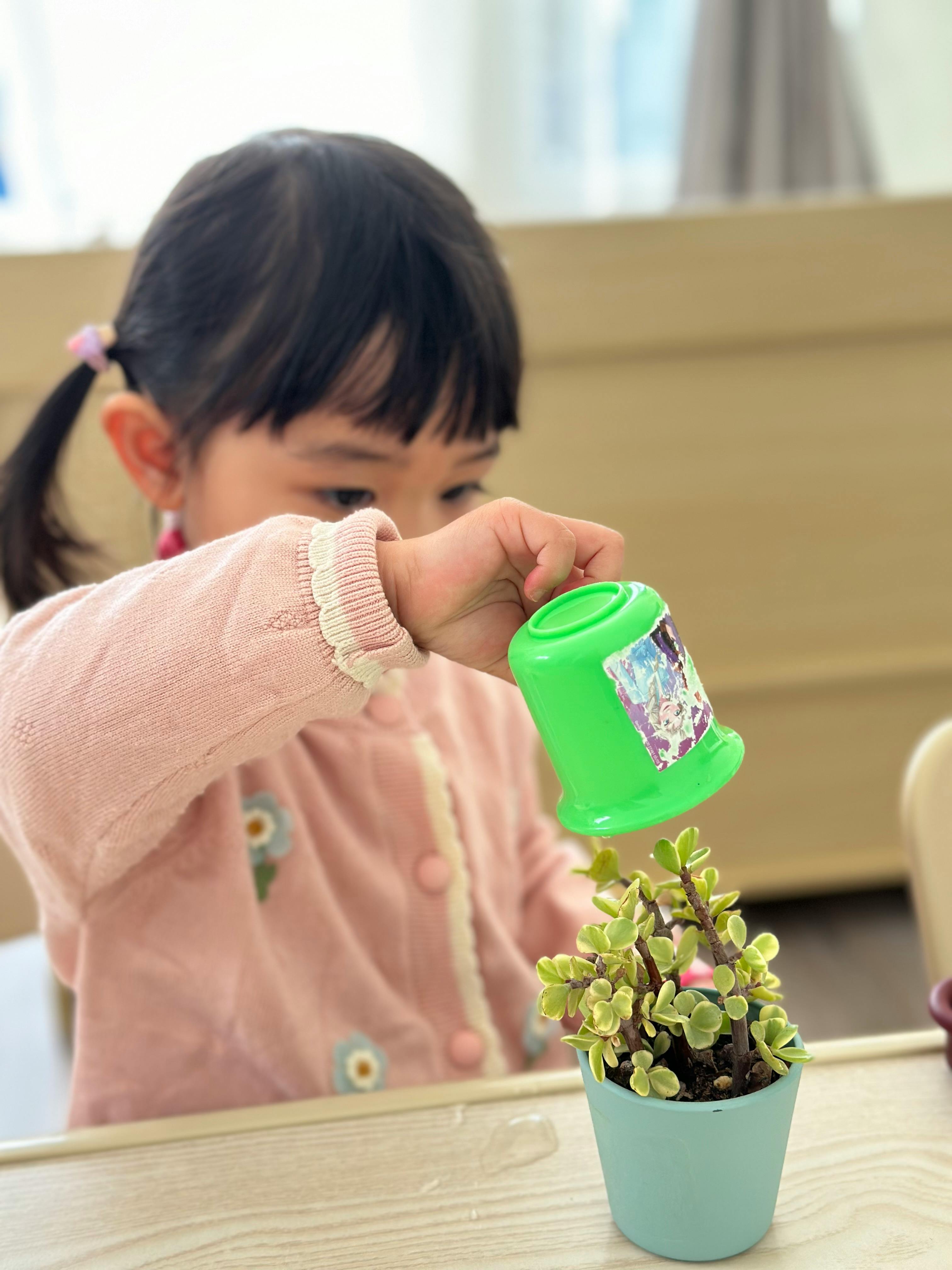 Child watering a small potted plant with a green cup