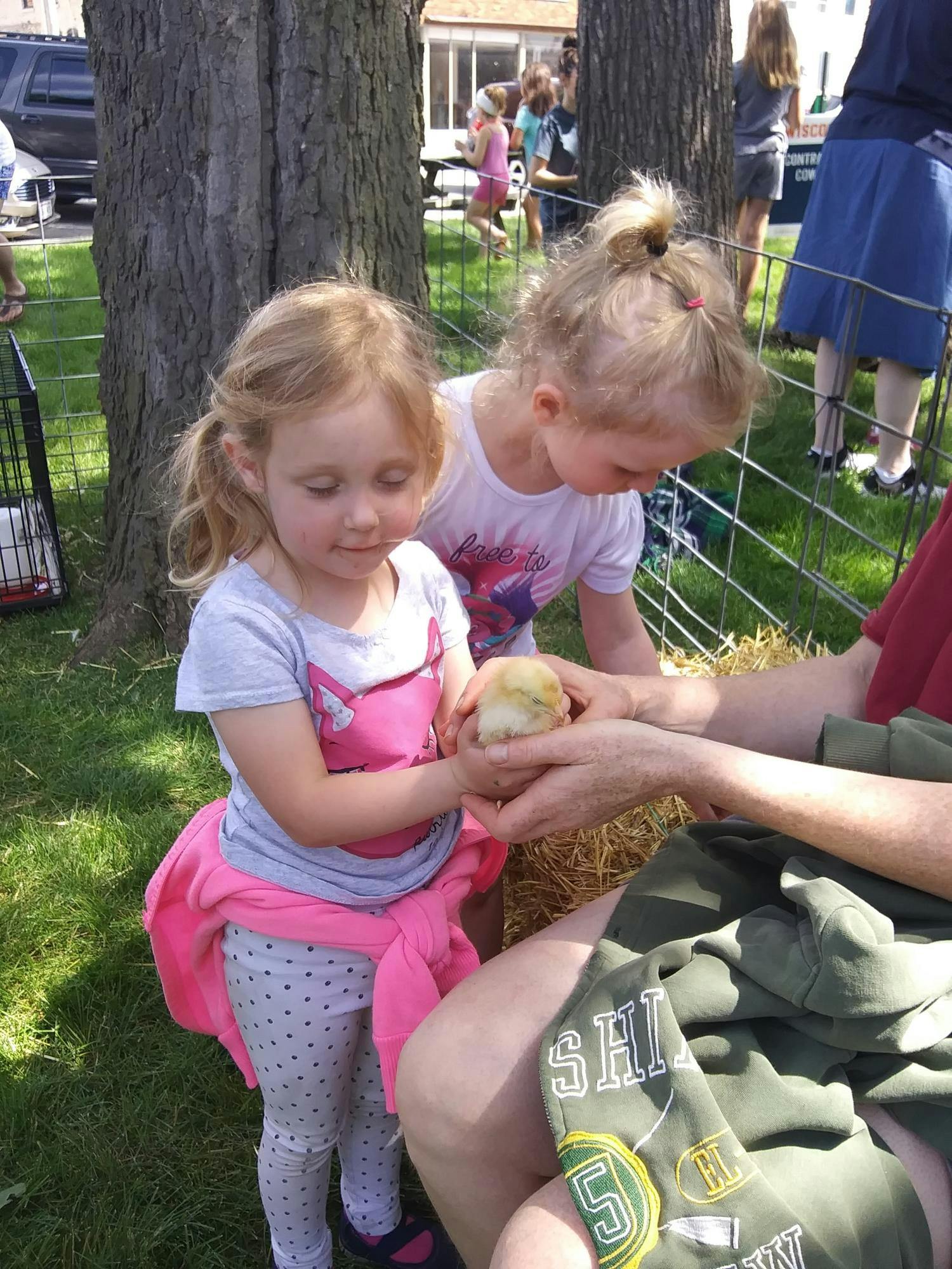 Two children holding a chick with an adult