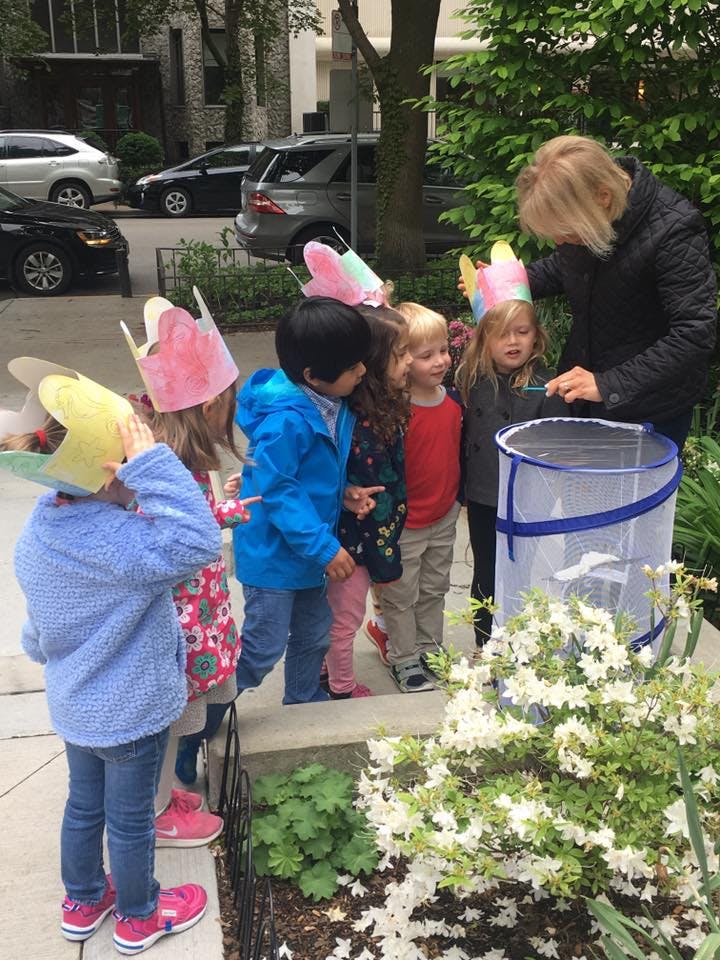 Adult and children in paper crowns looking at a butterfly habitat