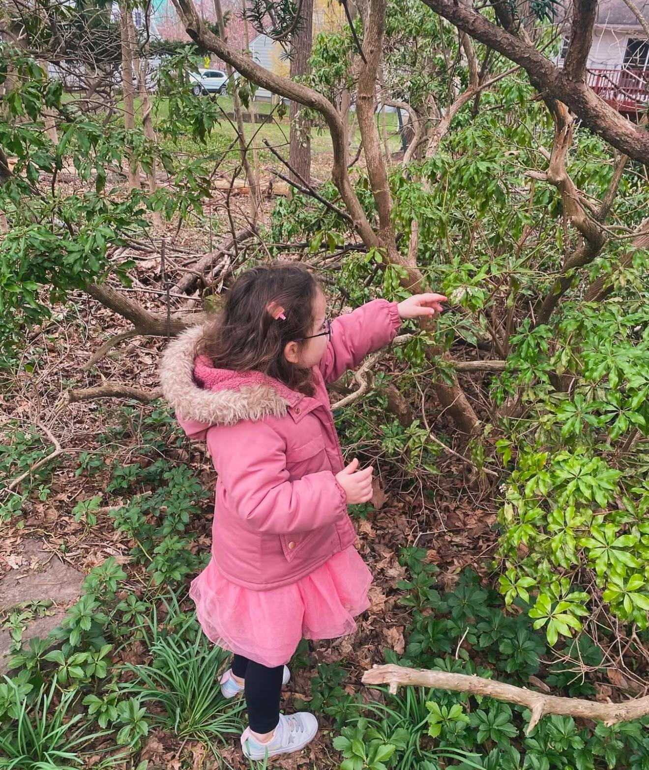 Child in a pink coat reaching out to touch leaves on a bush
