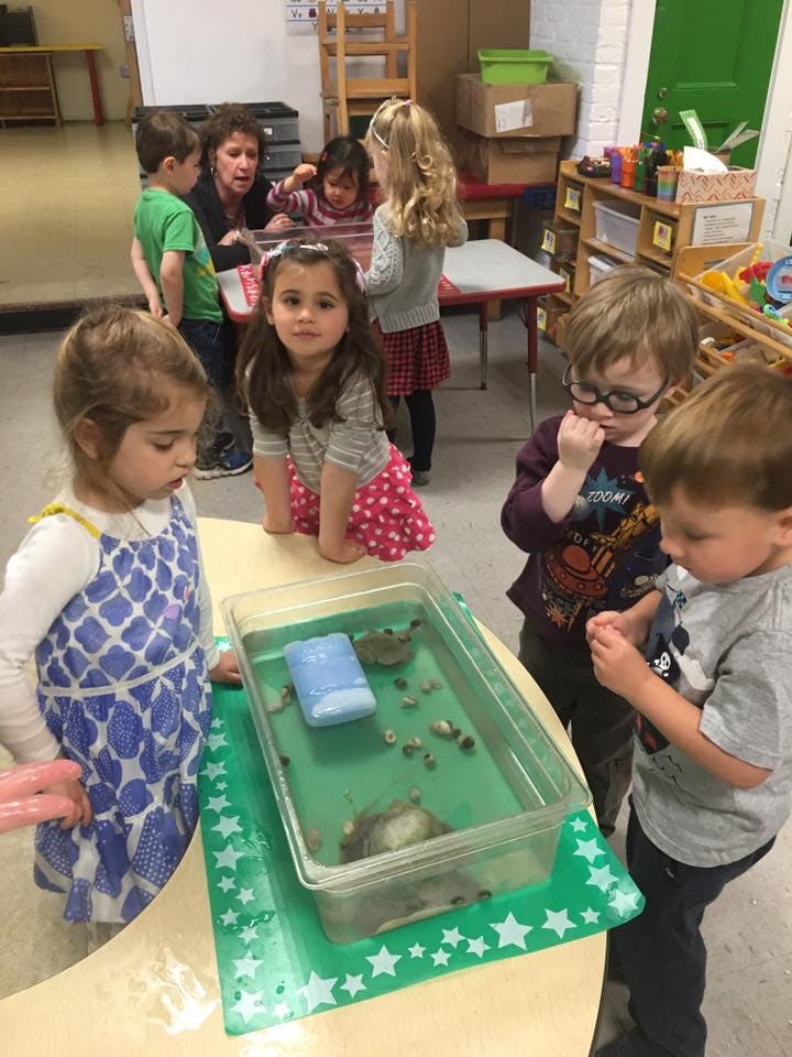Children gathered around a table with a container of water and shells