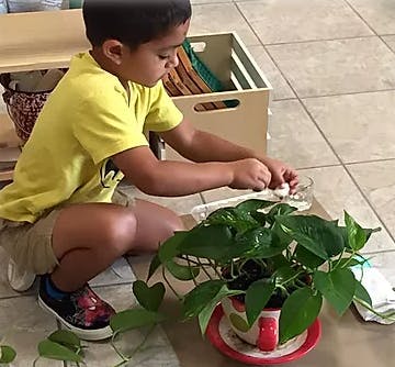 Child tending to a potted plant