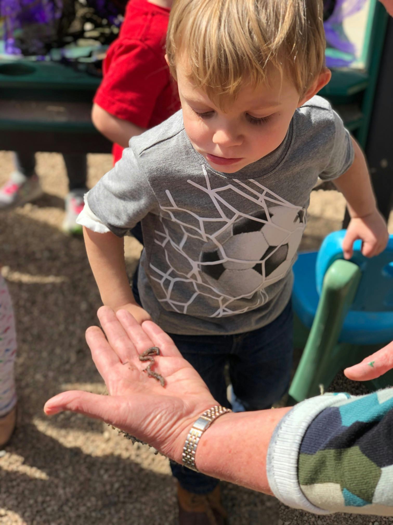 Rocky Mountain Preschool Preschool in Centennial, CO Winnie