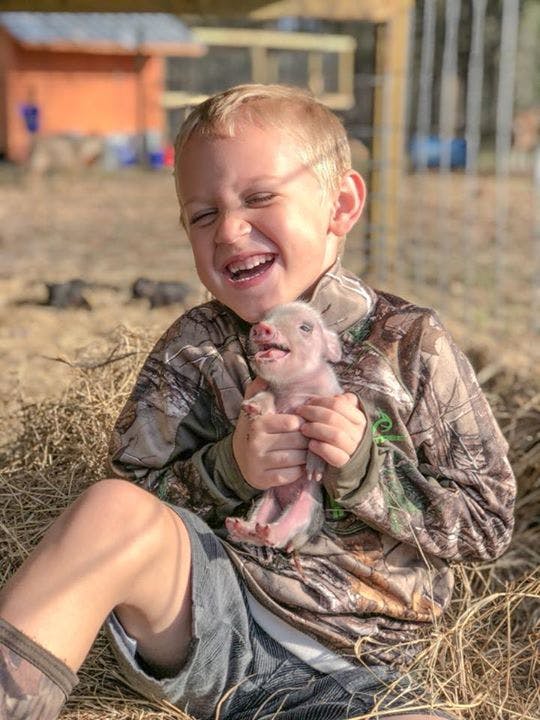 Child holding a small piglet