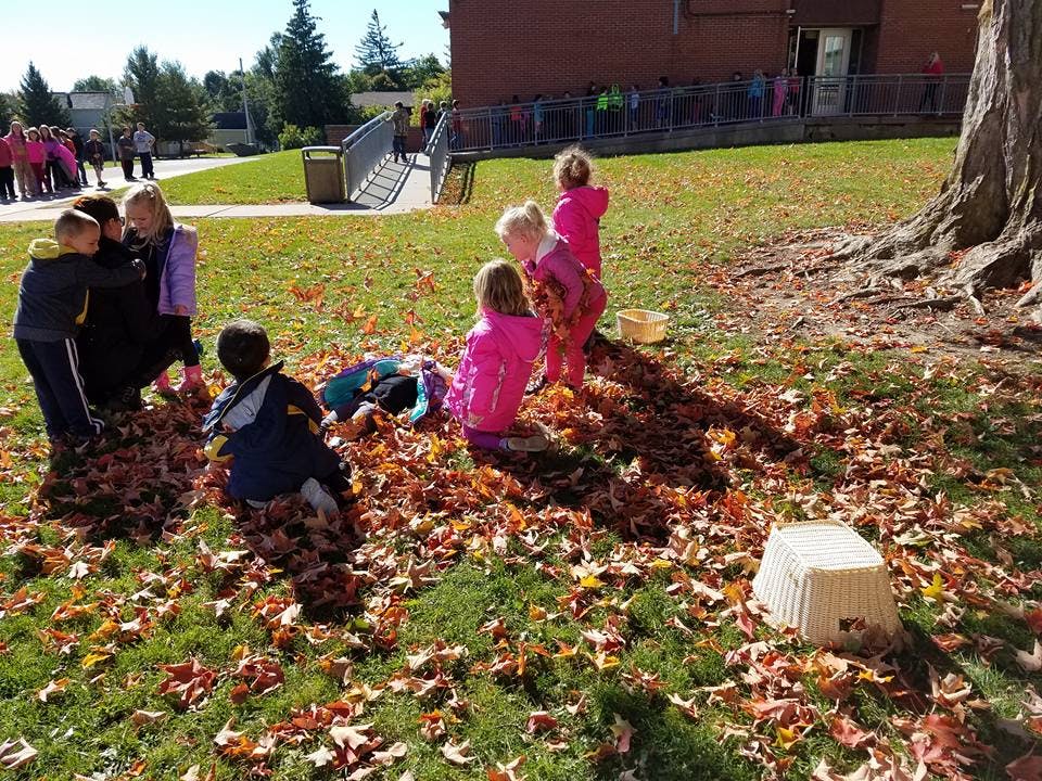 Adult and children playing in a pile of autumn leaves outdoors
