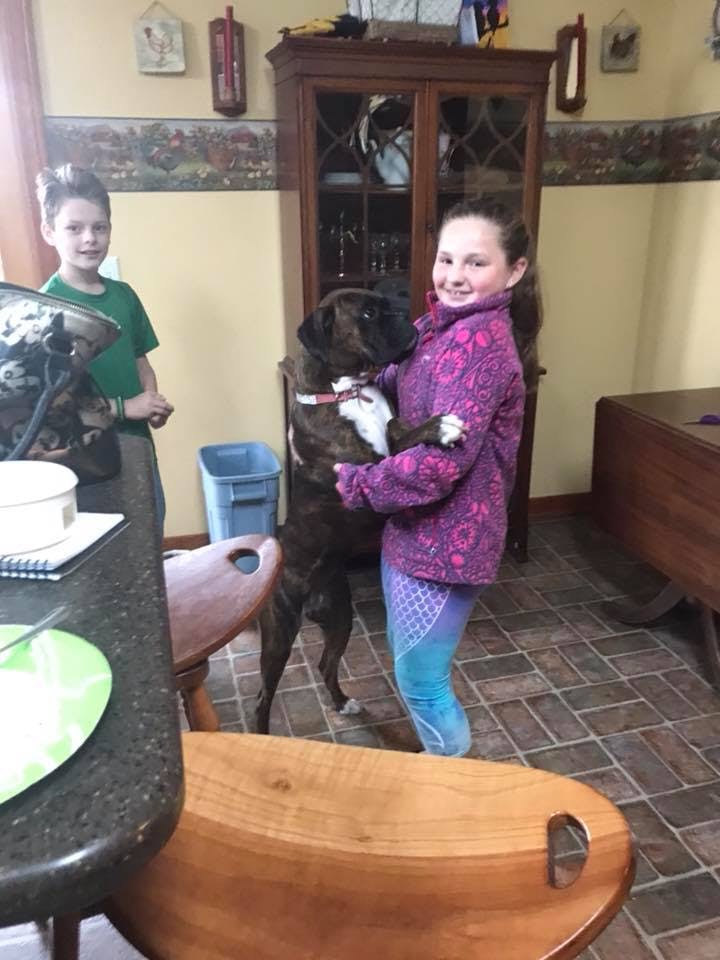 Child holding a dog standing on its hind legs, another child in the background