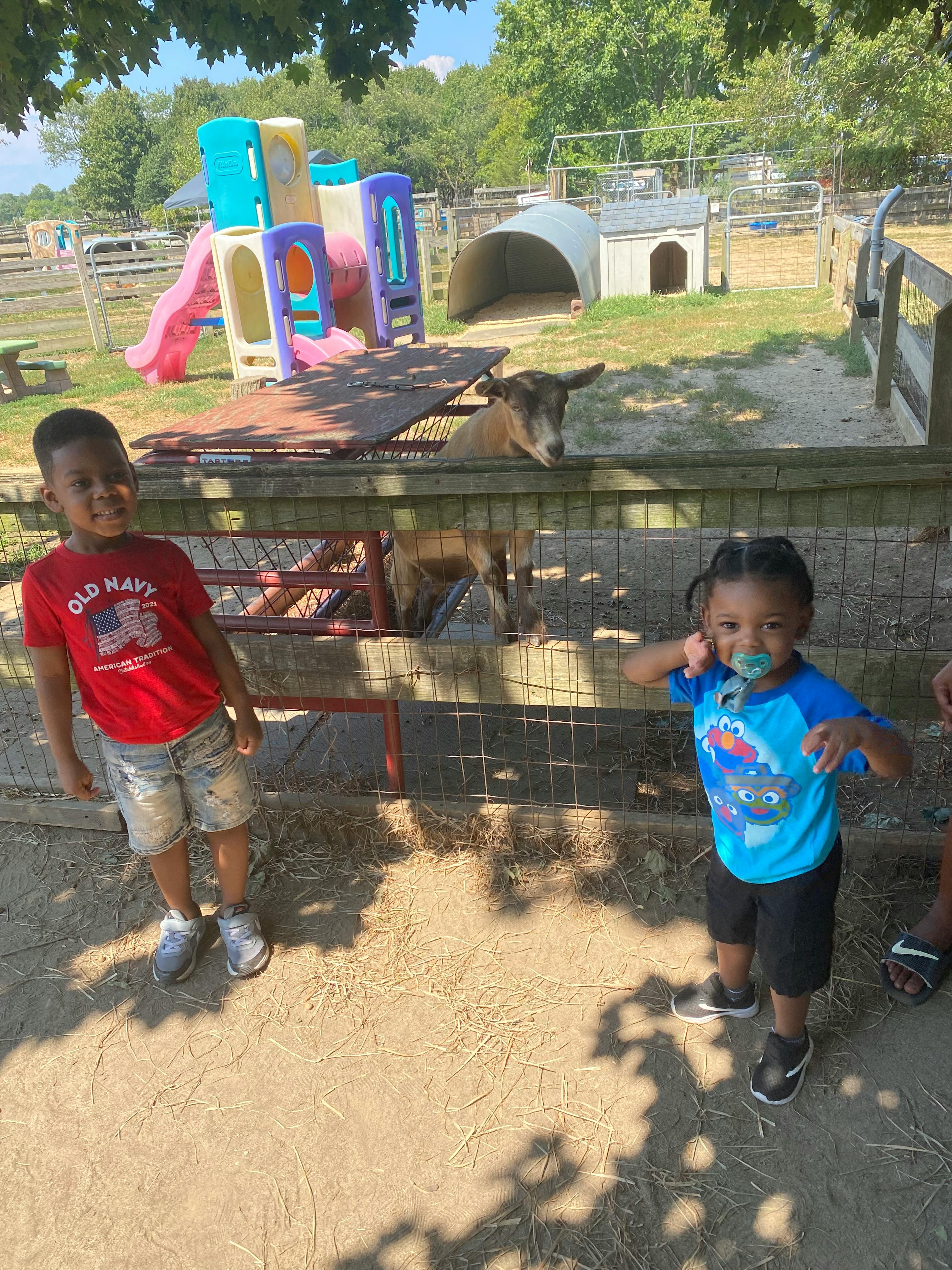Two children standing in front of a fence with a goat behind it