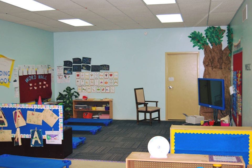 Classroom with blue walls, bulletin boards, and a tree decoration