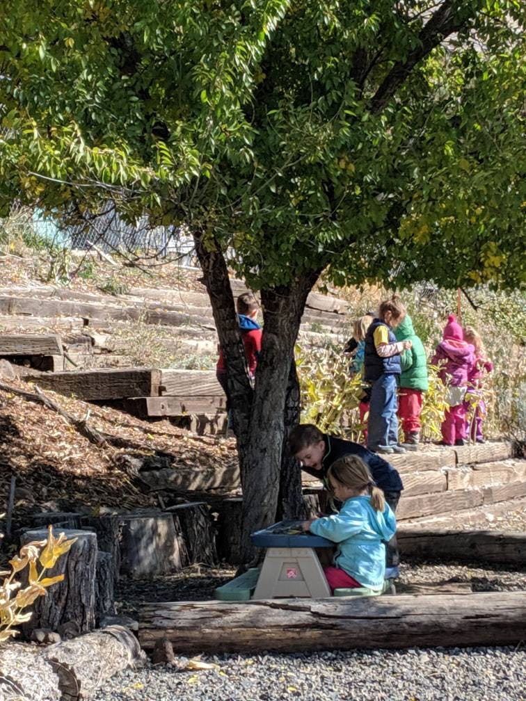Children playing outdoors around a tree
