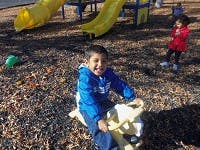 Child on a toy horse in a playground